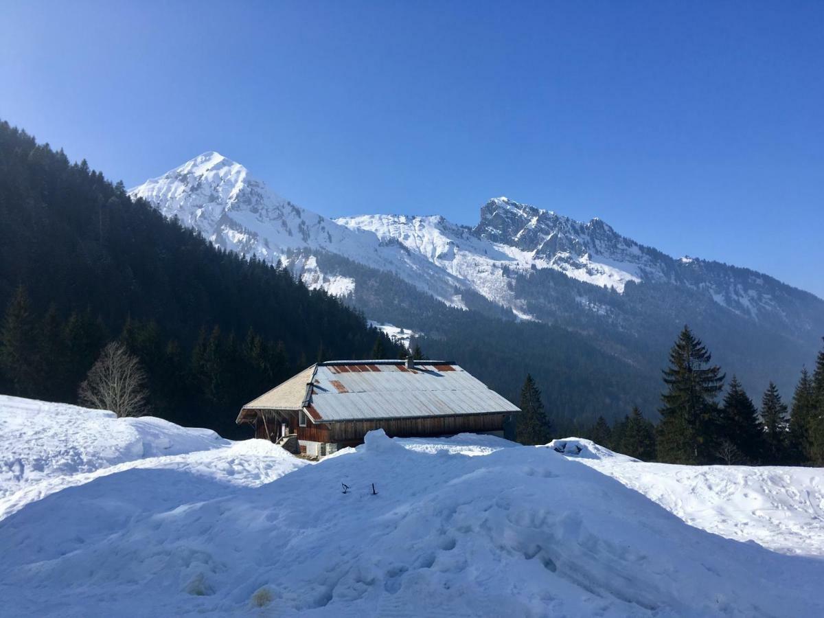 Chalet Marmotte 2 Morzine Ngoại thất bức ảnh