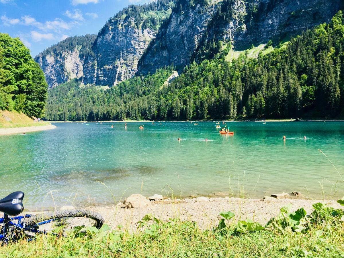 Chalet Marmotte 2 Morzine Ngoại thất bức ảnh
