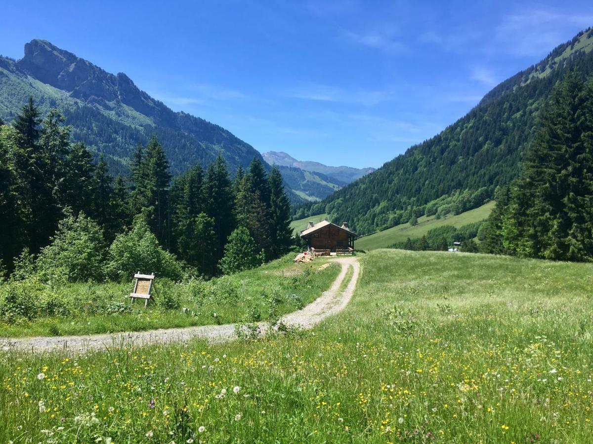 Chalet Marmotte 2 Morzine Ngoại thất bức ảnh