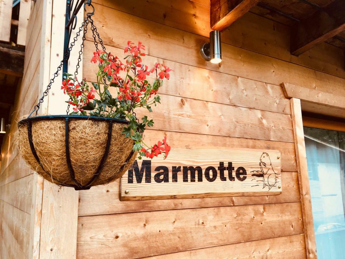 Chalet Marmotte 2 Morzine Ngoại thất bức ảnh