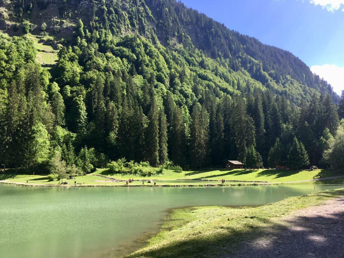 Chalet Marmotte 2 Morzine Ngoại thất bức ảnh